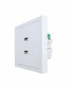 Lezard 704-0288-192 ZIMA Розетка 2-ая USB разъем