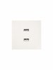 Lezard 704-9088-192 ZIMA Розетка 2-ая USB разъем