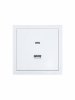 Lezard 704-0288-192TC ZIMA Розетка TC+ USB разъем