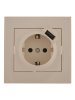 Lezard RAIN Розетка с заземлением + USB разъём, 703-0303-181