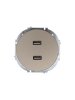 Lezard 743-3788-192 OSEN Розетка 2-ая USB разъем титан