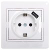 Lezard MIRA Розетка с заземлением + USB разъём, 701-0202-181