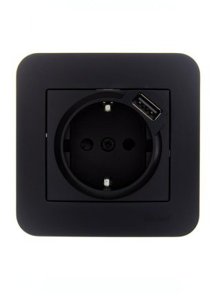 Фотография товара 'Lezard 7081-4242-181 ASTI Розетка с/з + USB разъём'