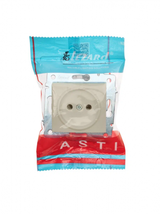 Фотография товара 'Lezard 7081-0303-181 ASTI Розетка с/з + USB разъём'