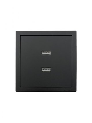 Фотография товара 'Lezard 704-4288-192 ZIMA Розетка с 2-ая USB разъем'