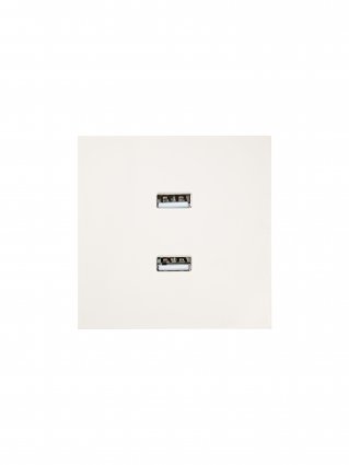 Фотография товара 'Lezard 704-9088-192 ZIMA Розетка 2-ая USB разъем'