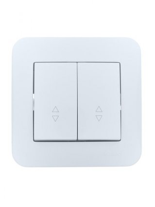 Фотография товара 'Lezard 7081-0202-106 ASTI Выключатель проходной двойной'