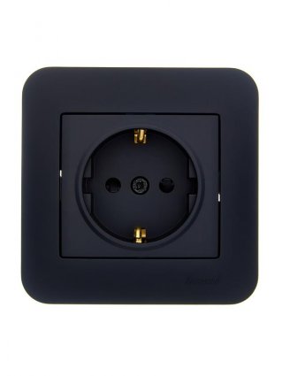 Фотография товара 'Lezard 7081-4242-124B ASTI Розетка с защитой от детей ПБТ'