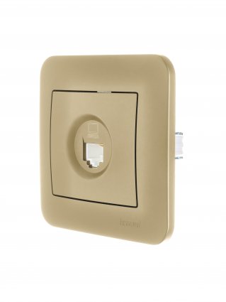 Фотография товара 'Lezard 7081-3636-139 ASTI Розетка компьютерная'