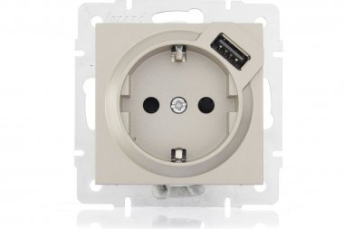 Фотография товара 'Lezard 742-3788-181 VESNA Розетка с/з + USB разъём'