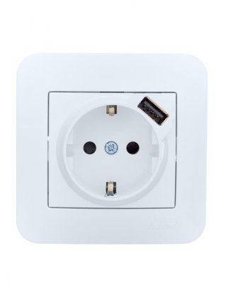 Фотография товара 'Lezard 7081-0202-181 ASTI Розетка с/з + USB разъём'