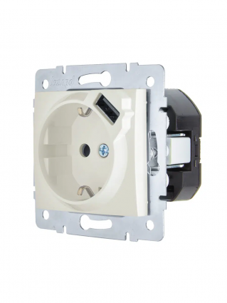 Фотография товара 'Lezard 7081-3030-181 ASTI Розетка с/з + USB разъём'