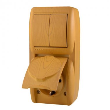 Фотография товара 'Lezard NATA Выключатель 2-х клавишный и розетка с заземлением, с крышкой, 710-0700-173'