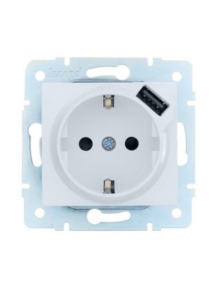 Фотография товара 'Lezard 7081-0288-181 ASTI Розетка с/з + USB разъём'