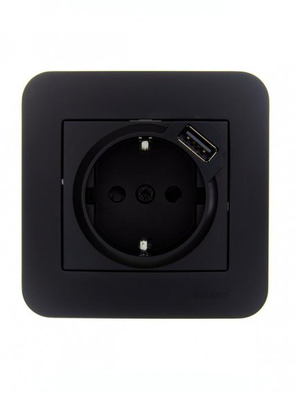 Фотография товара 'Lezard 7081-4242-181 ASTI Розетка с/з + USB разъём'