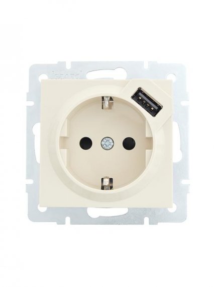 Фотография товара 'Lezard VESNA Розетка с заземлением + USB разъём, 742-0388-181'