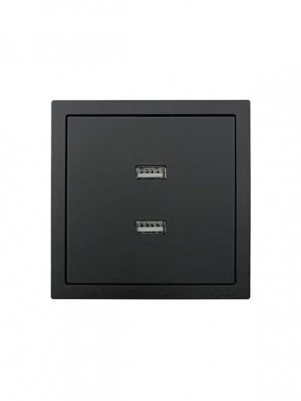 Фотография товара 'Lezard 704-4288-192 ZIMA Розетка с 2-ая USB разъем'