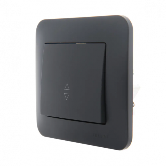 Фотография товара 'Lezard 751-4200-105 VIOLA Выключатель проходной'