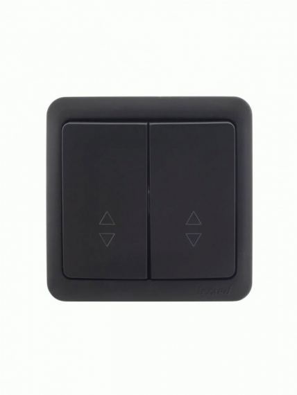 Фотография товара 'Lezard 751-4200-101 VIOLA Выключатель двойной'