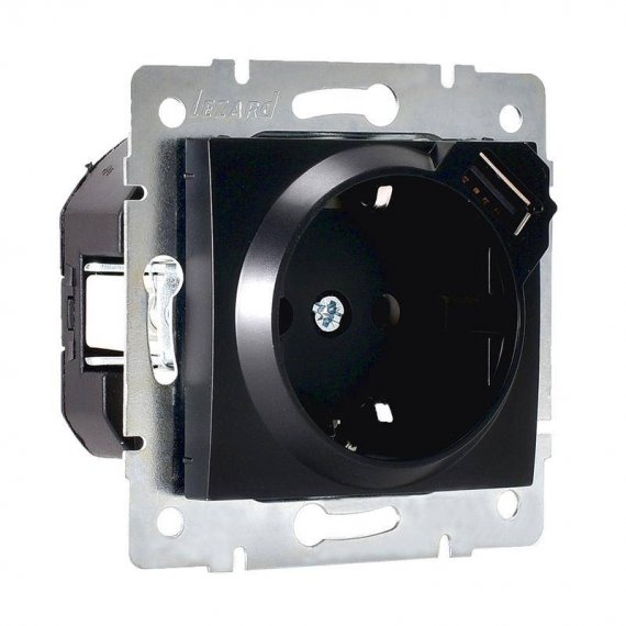 Фотография товара 'Lezard KARINA Розетка с заземлением + USB разъём, 707-4288-181'