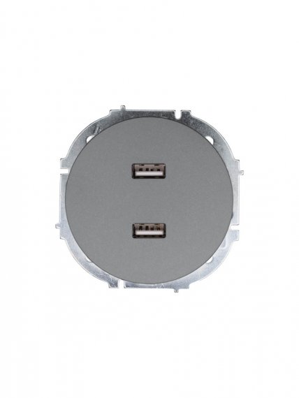 Фотография товара 'Lezard 743-7488-192 OSEN Розетка 2-ая USB разъем серый матовый'