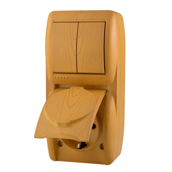 Фотография товара 'Lezard NATA Выключатель 2-х клавишный и розетка с заземлением, с крышкой, 710-0700-173'