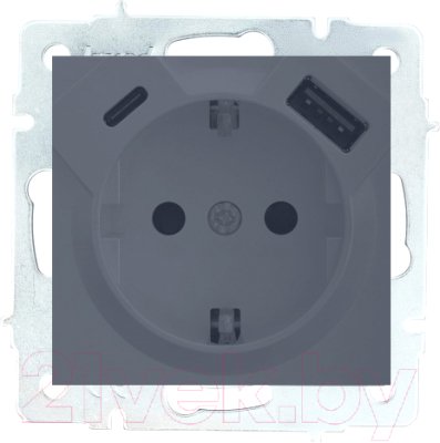 Фотография товара 'Lezard 742-3488-181TC VESNA Розетка с/з TC+USB разъём'