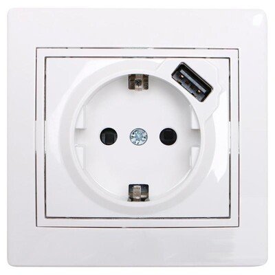 Фотография товара 'Lezard MIRA Розетка с заземлением + USB разъём, 701-0202-181'