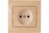 Фотография товара 'Lezard 702-4747-121B DERIY Розетка б/з ясень'