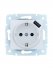 Фотография товара 'Lezard 7081-0288-181 ASTI Розетка с/з + USB разъём'